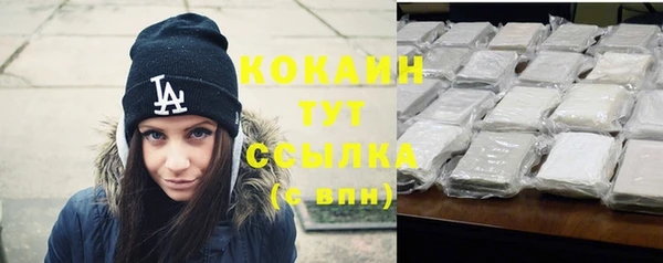 соль ск Богданович