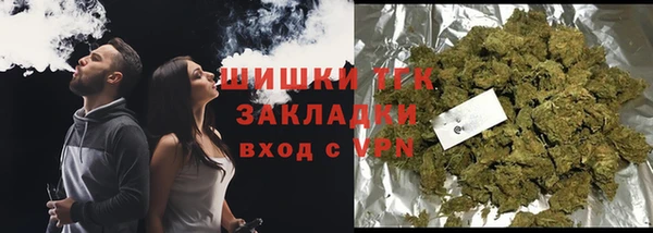 соль ск Богданович