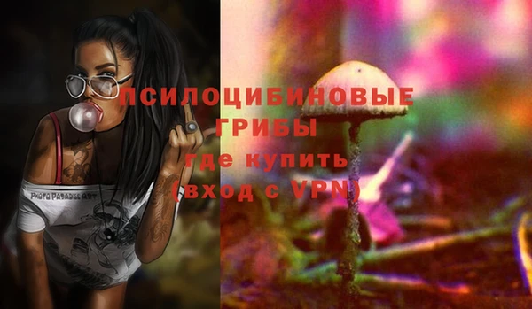 соль ск Богданович